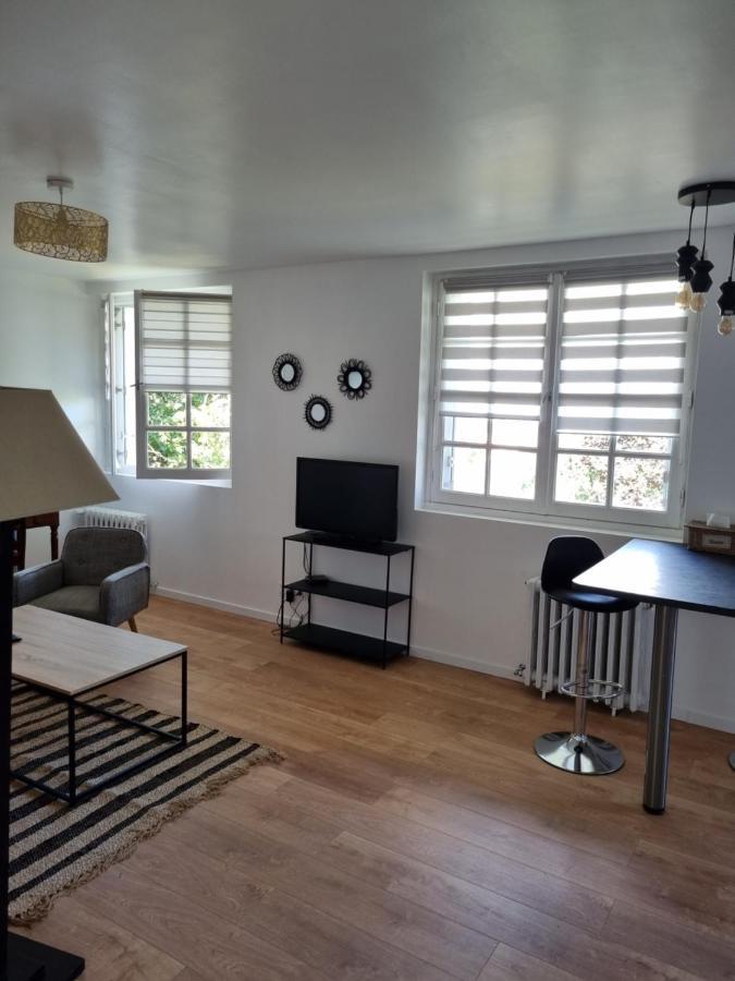 Location Saisonniere Appartement Situe A Saumur Εξωτερικό φωτογραφία