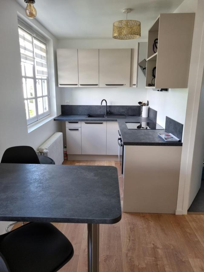 Location Saisonniere Appartement Situe A Saumur Εξωτερικό φωτογραφία