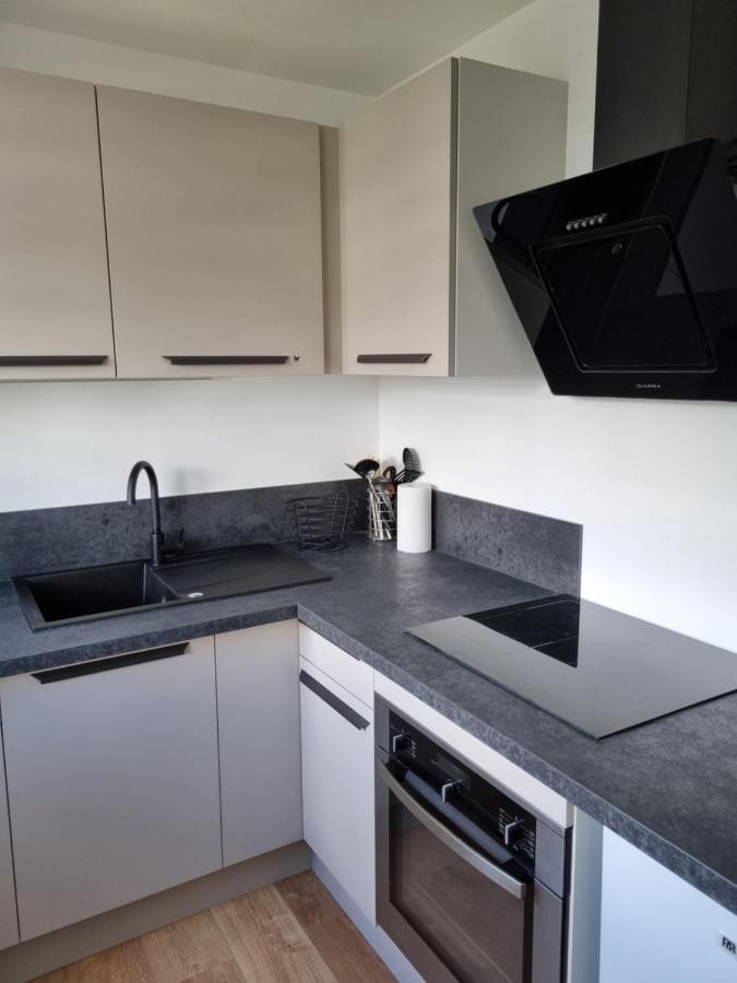 Location Saisonniere Appartement Situe A Saumur Εξωτερικό φωτογραφία