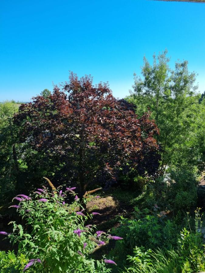 Location Saisonniere Appartement Situe A Saumur Εξωτερικό φωτογραφία