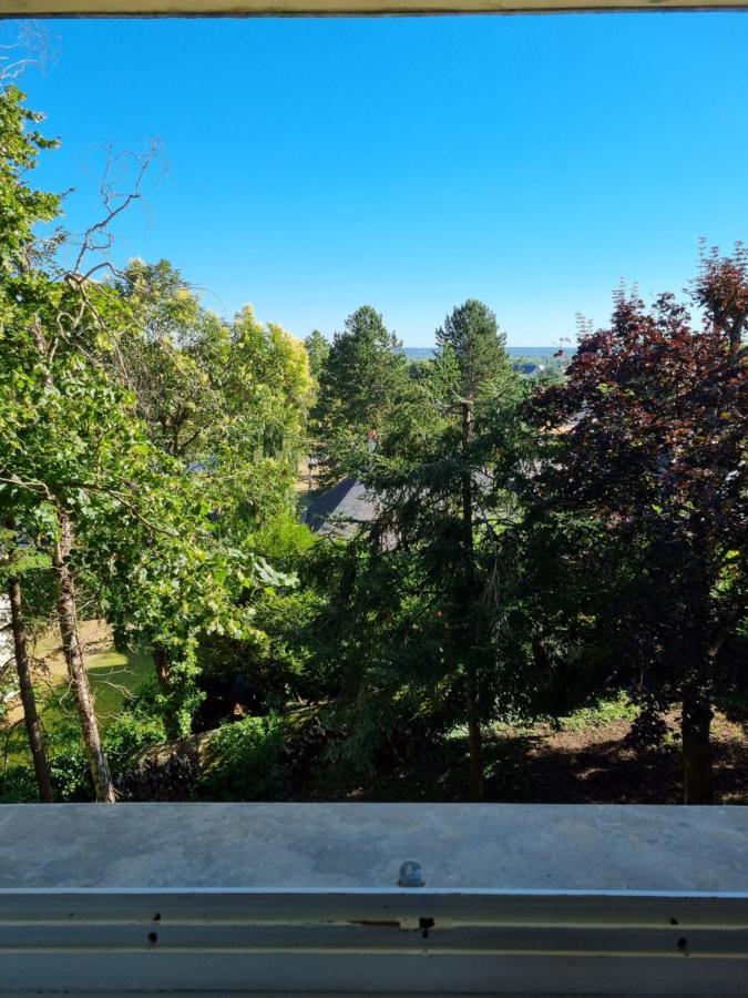 Location Saisonniere Appartement Situe A Saumur Εξωτερικό φωτογραφία
